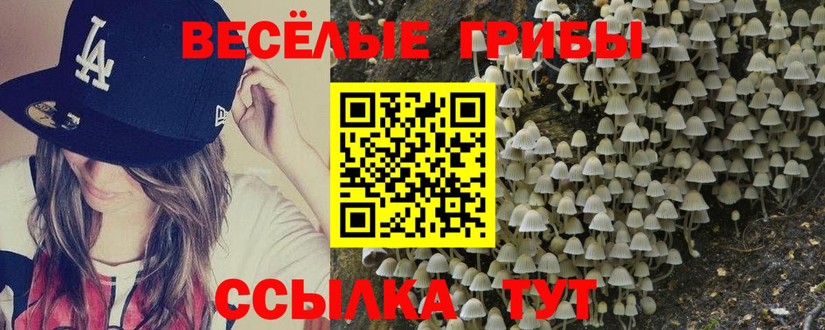 Псилоцибиновые грибы Cubensis Краснодар